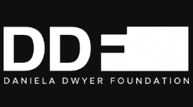 Minimalist DDF Foundation Logo